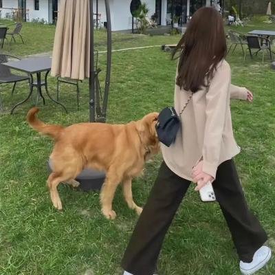 当杀手恋爱时